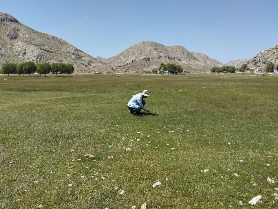 Gazipaşa’nın yaylalarında çekirge sürvey çalışması yapıldı
