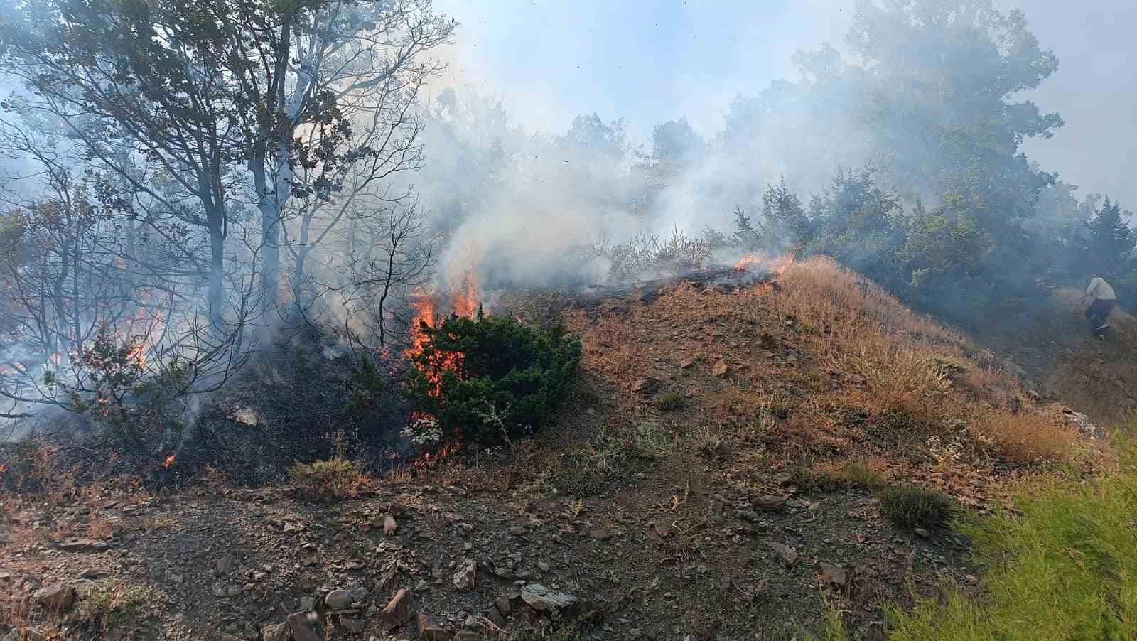 Bingöl’de iki ayrı bölgede çıkan yangınlar söndürüldü
