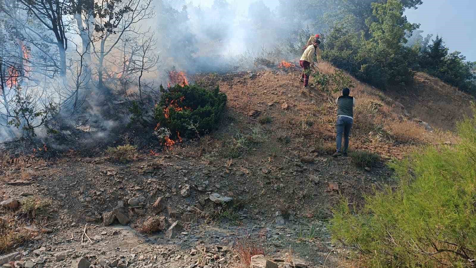 Bingöl’de iki ayrı bölgede çıkan yangınlar söndürüldü
