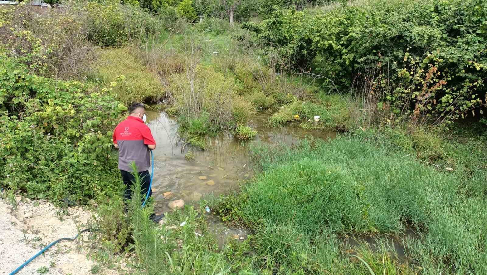 Ordu Büyükşehir, sivrisineklere karşı mücadele için sahada
