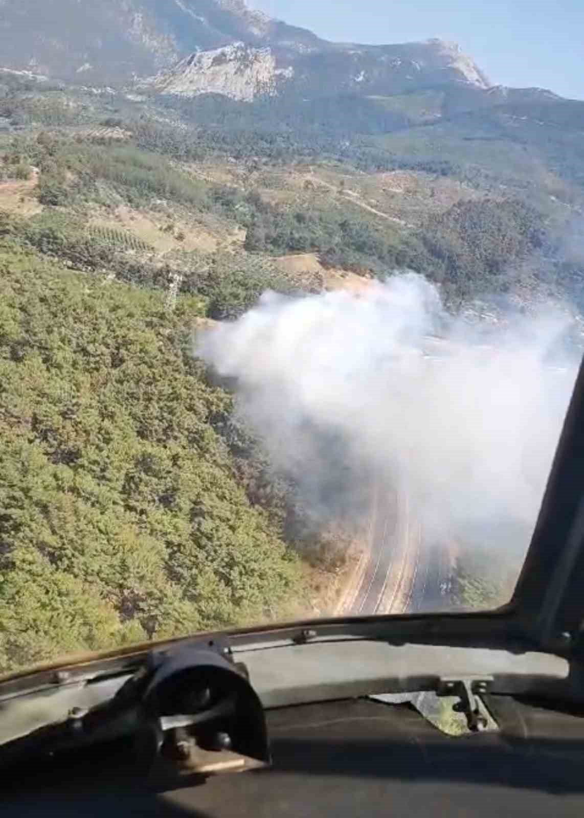 Kemalpaşa’da orman yangını
