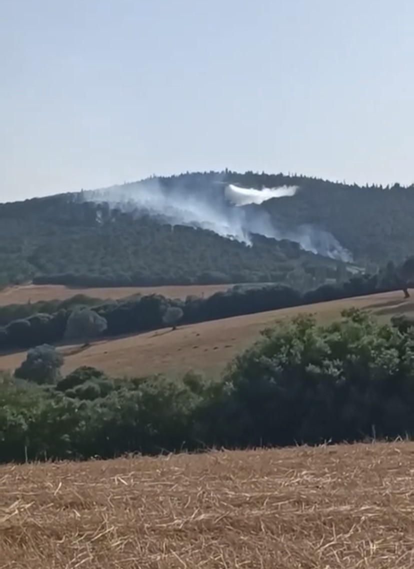 Biga’daki orman yangını kontrol altına alındı
