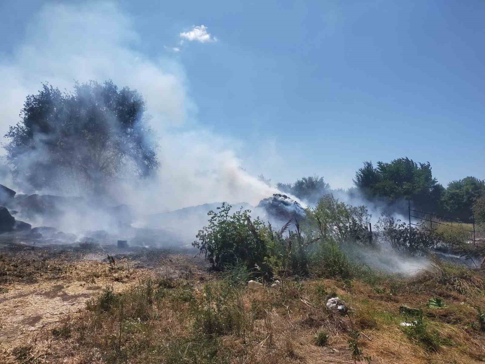 Samanlık alev alev yandı
