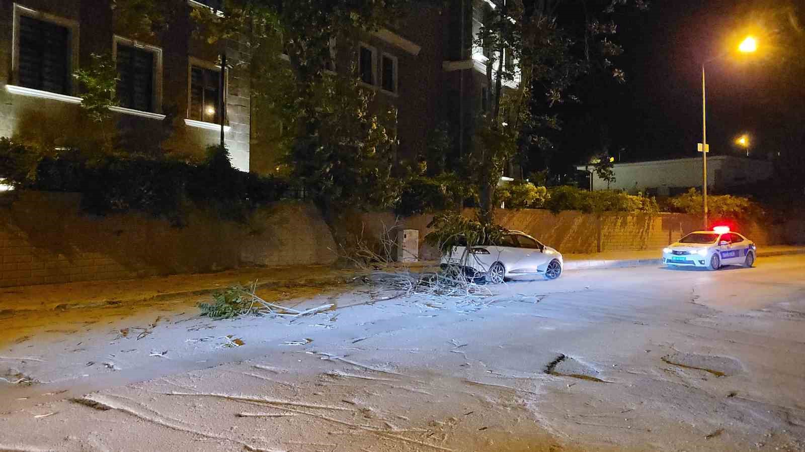 Şiddetli rüzgardan kırılan ağaç dalı aracın üzerine düştü
