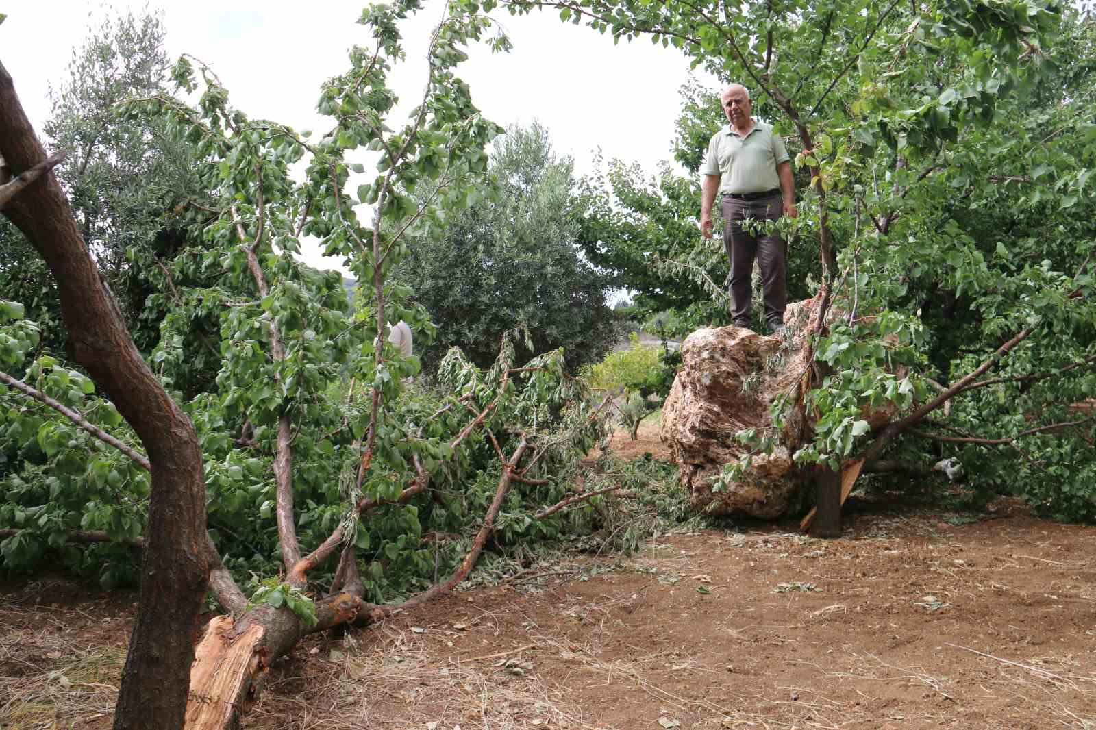 Mahalleli diken üstünde: Kayısı topladıkları esnada taş ocağından 10 tonluk devasa kaya düştü
