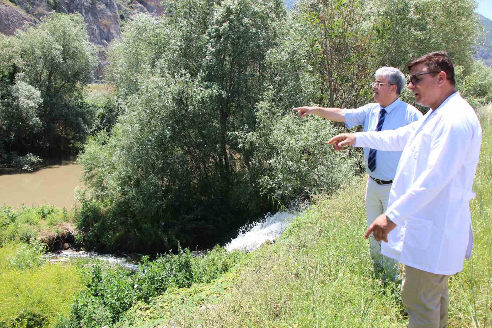 Avcı bakteriler atık su arıtma tesisinin kokusunu 7 dakikada giderdi
