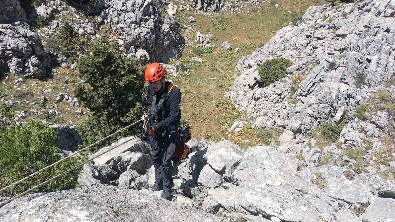 Mahsur kalan küçükbaş hayvanlar kurtarıldı
