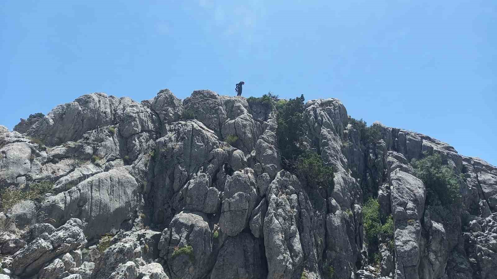 Mahsur kalan küçükbaş hayvanlar kurtarıldı
