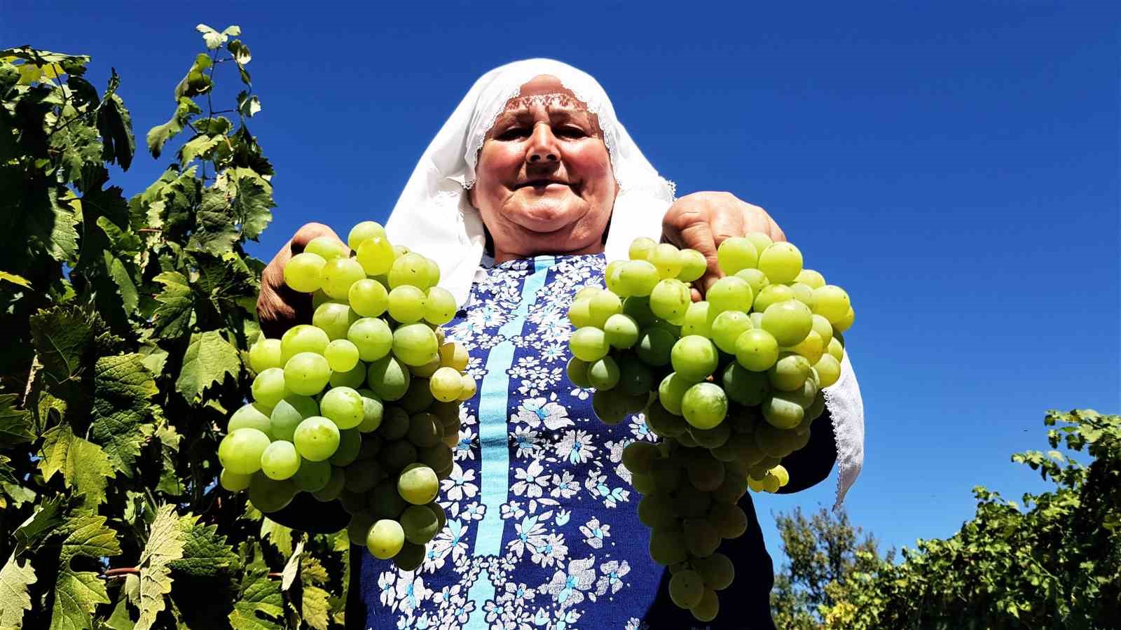 Zonguldak, Karabük ve Bartın’dan 7 ürün Slow Food’un Ark of Taste Ağı’na girdi
