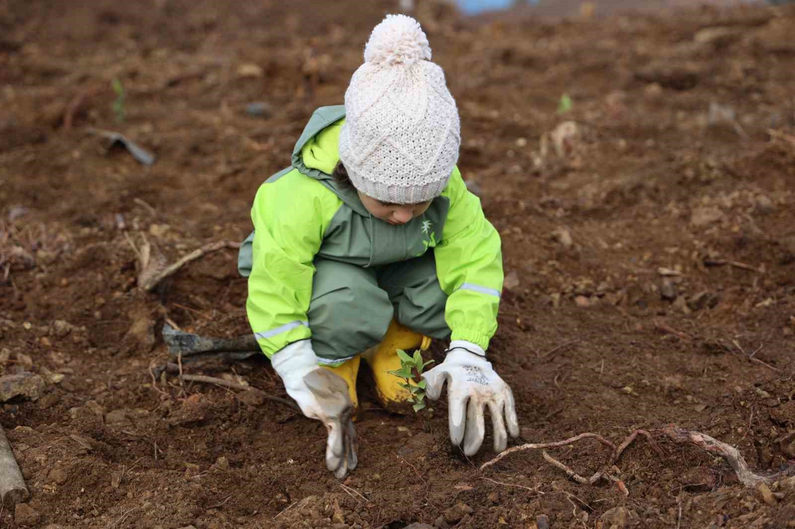 Yeşil Dönüşüm Ormanları Projesi, 80 bin metrekare yeşil alan oluşturdu
