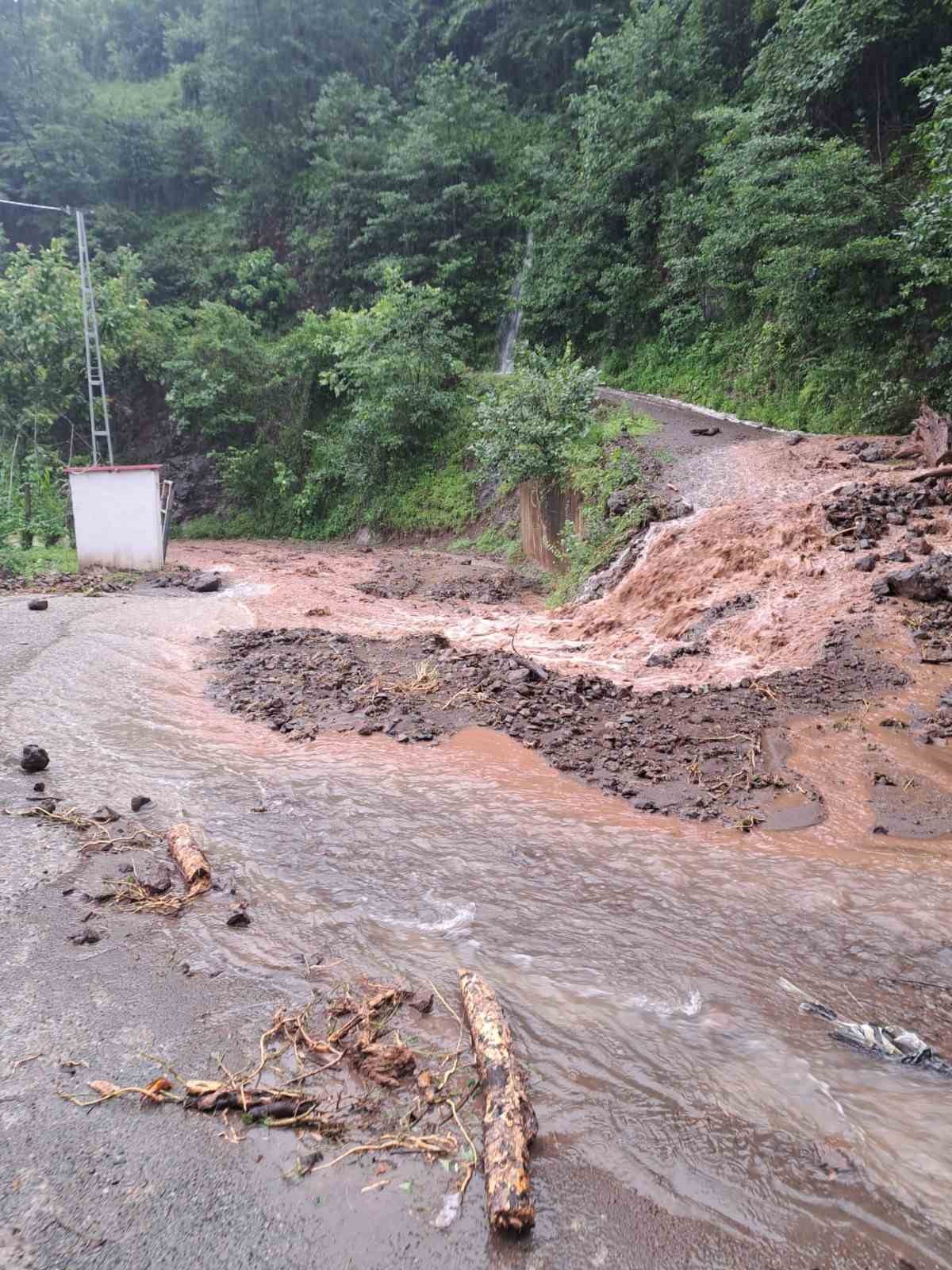 Rize’de şiddetli yağışta heyelanlar meydana geldi
