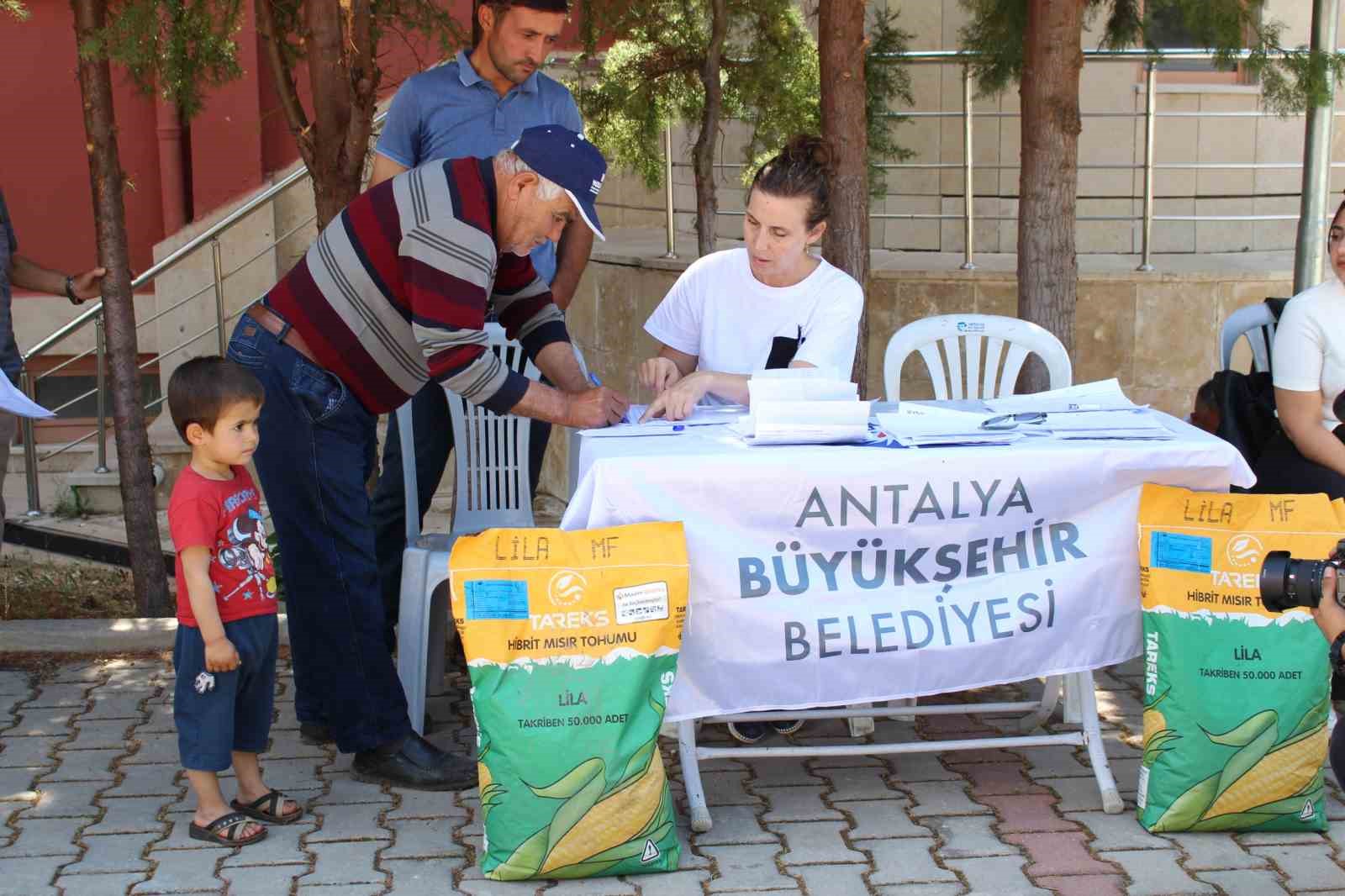 Antalya’da üreticiye silajlık mısır tohumu desteği sürüyor
