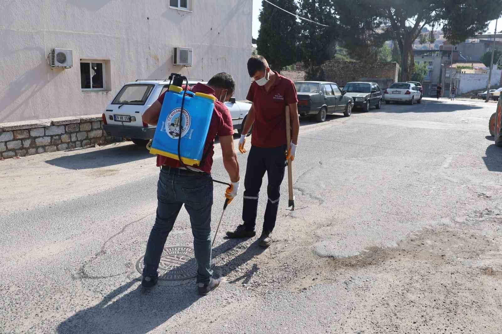 Koçarlı Belediyesi, haşereyle mücadele çalışmalarını sürdürüyor
