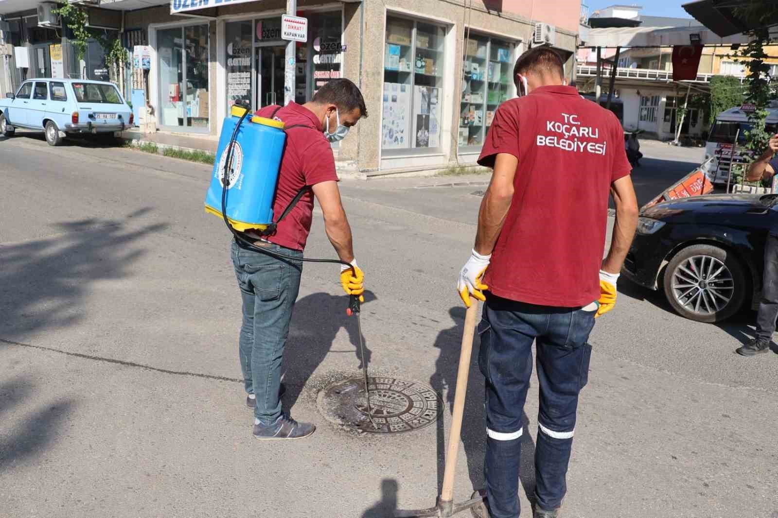 Koçarlı Belediyesi, haşereyle mücadele çalışmalarını sürdürüyor
