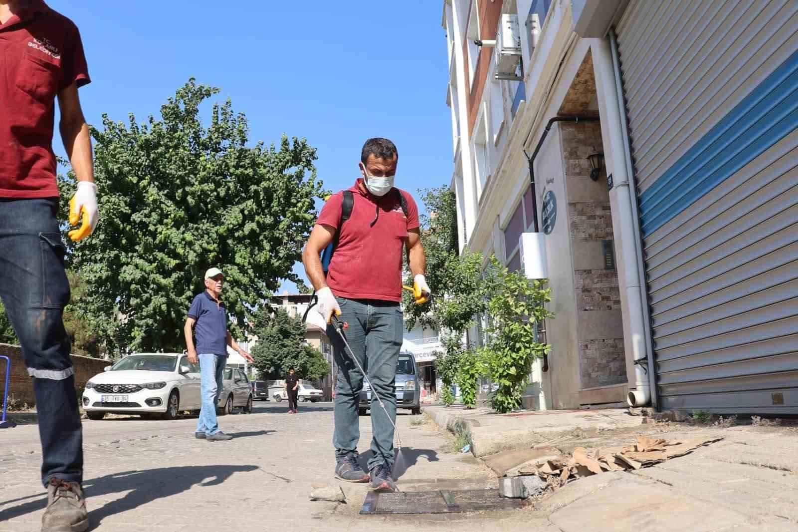 Koçarlı Belediyesi, haşereyle mücadele çalışmalarını sürdürüyor
