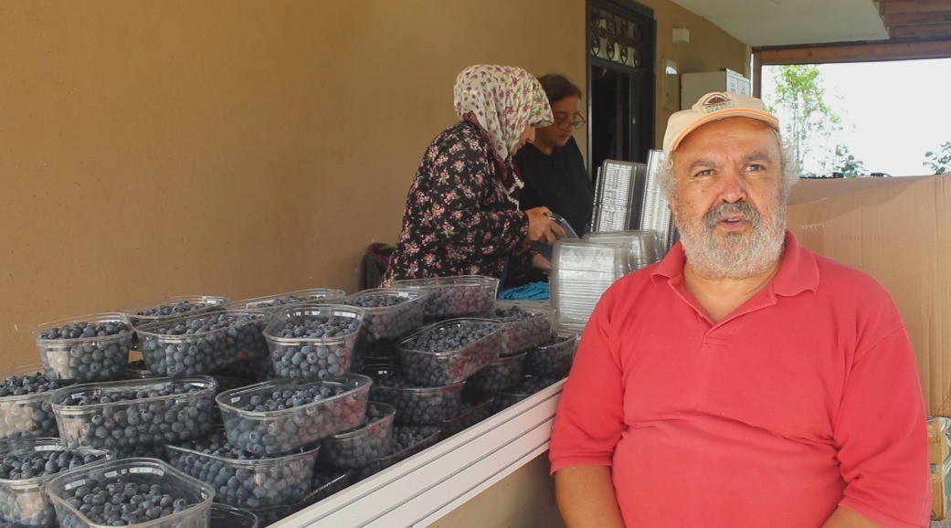 Sağlık sorunlarına çare ararken yetiştirdiği mavi yemiş geçim kaynağı oldu
