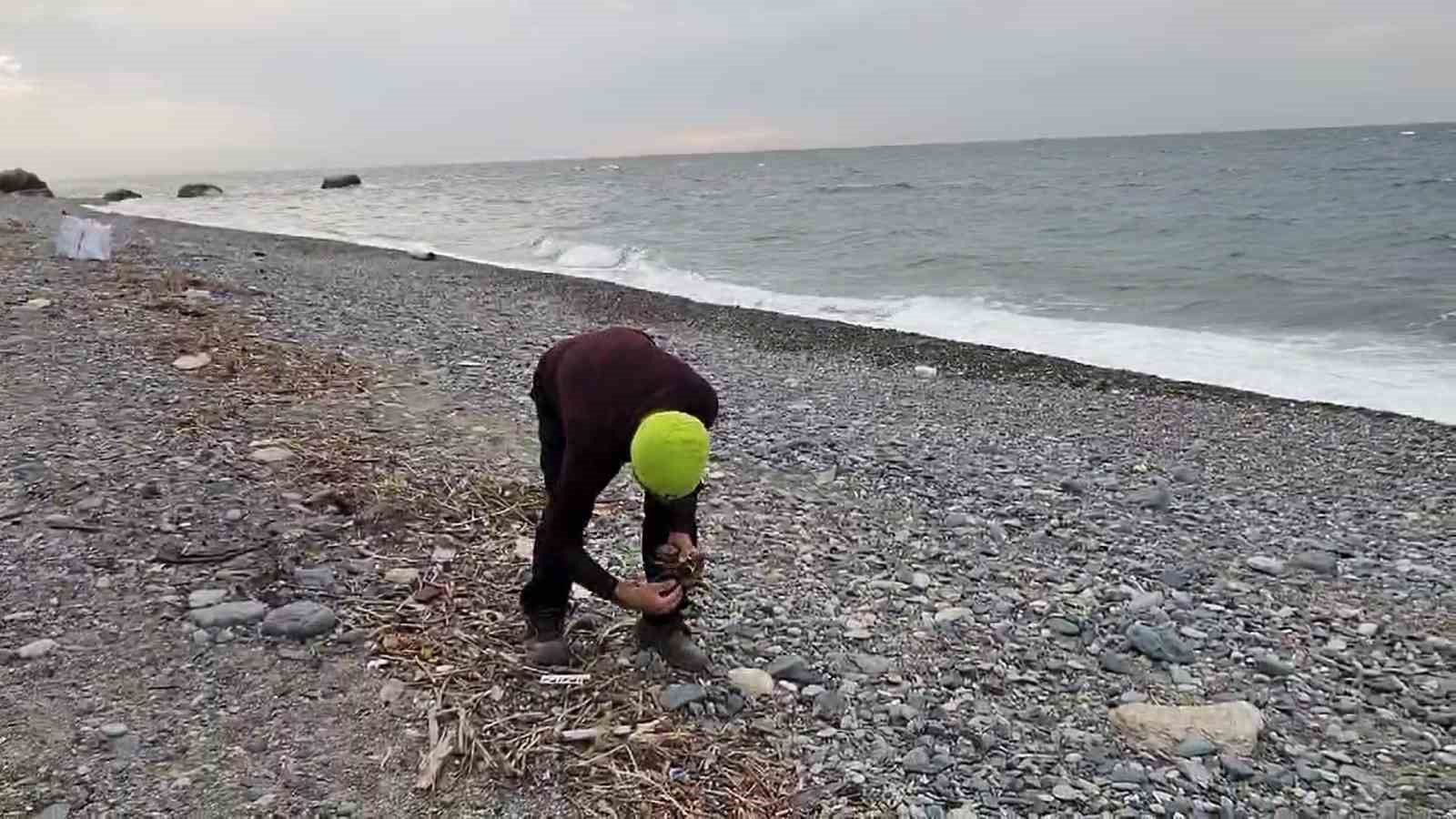 Sahilden topladığı odun parçalarını adeta sanat eserine dönüştürüyor
