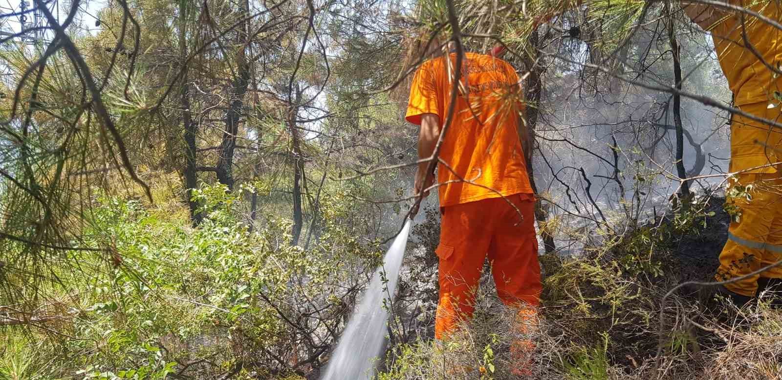 Alanya’daki orman yangını büyümeden kontrol altına alındı
