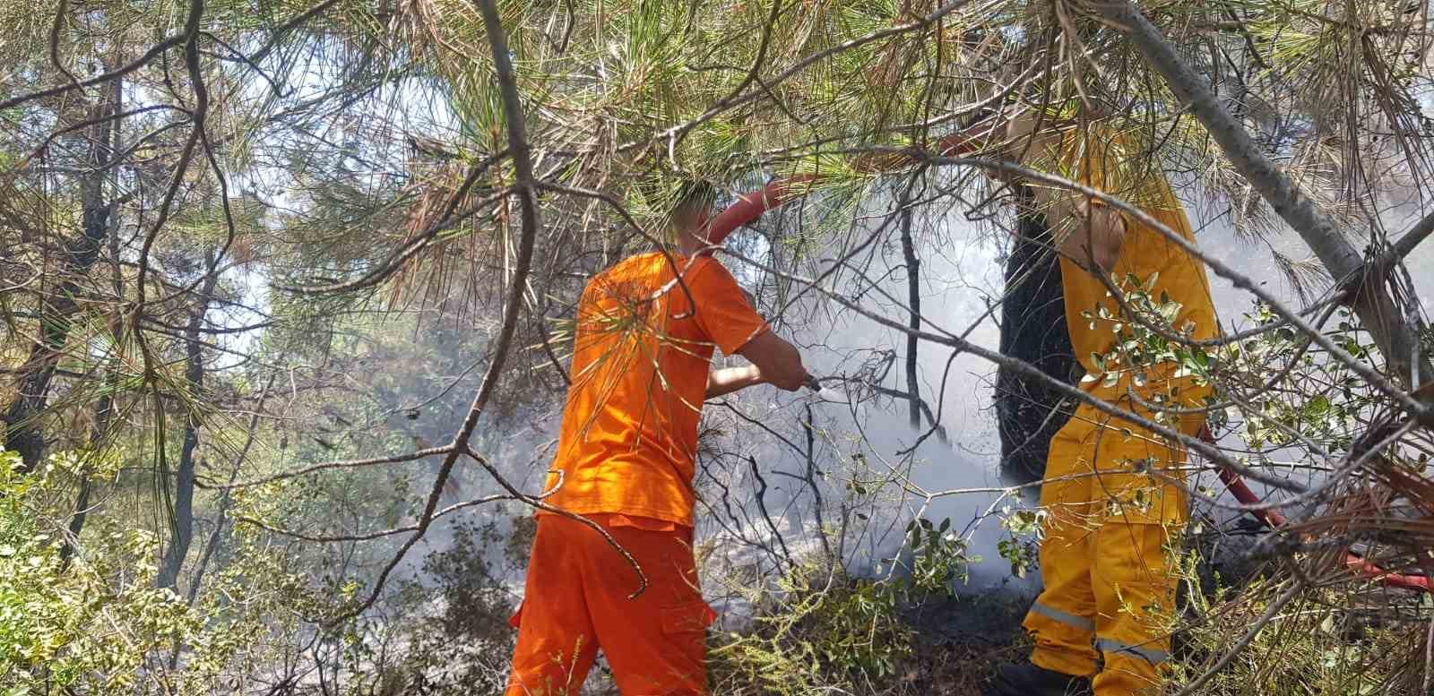 Alanya’daki orman yangını büyümeden kontrol altına alındı
