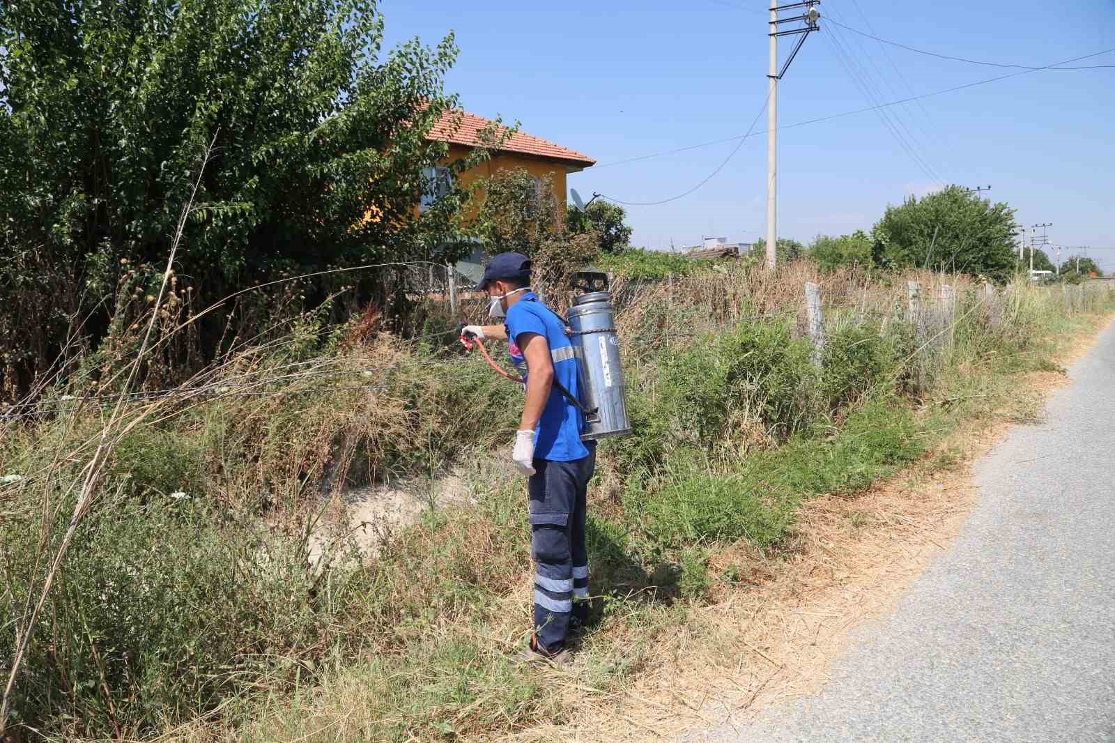 Efeler’de ilaçlama çalışmaları hızla sürüyor
