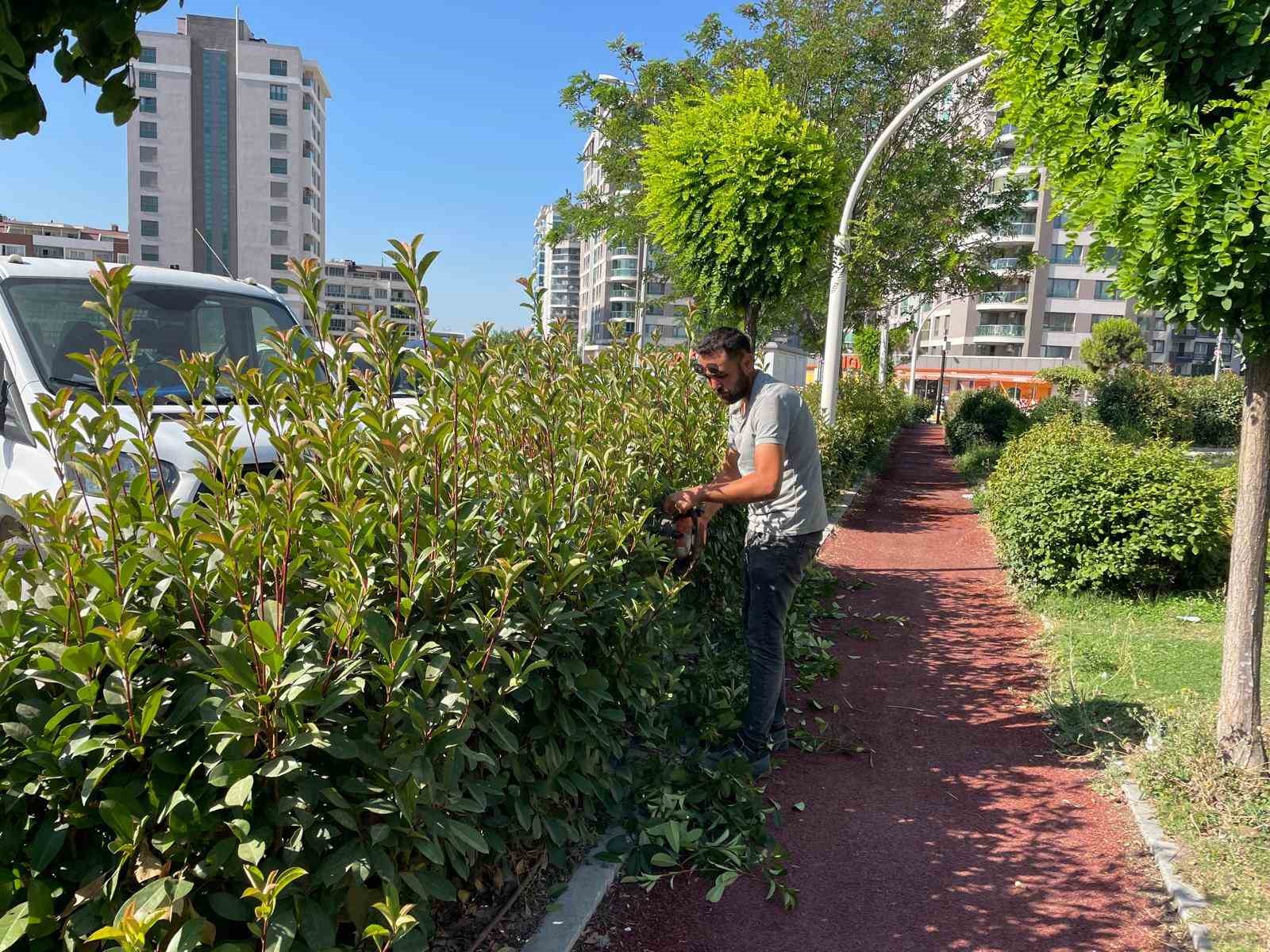 Söke Belediyesi park ve bahçeleri pırıl pırıl yapıyor
