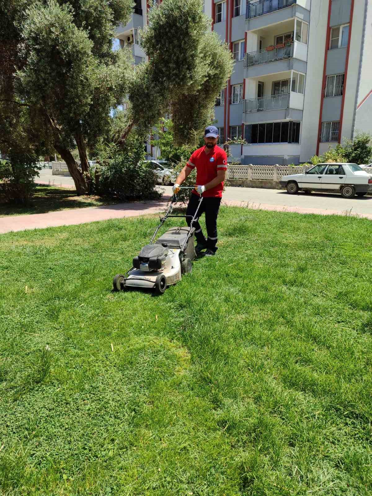 Söke Belediyesi park ve bahçeleri pırıl pırıl yapıyor
