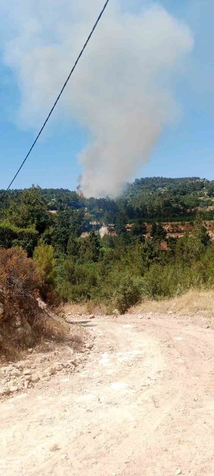 Denizli’de orman yangınına müdahale ediliyor
