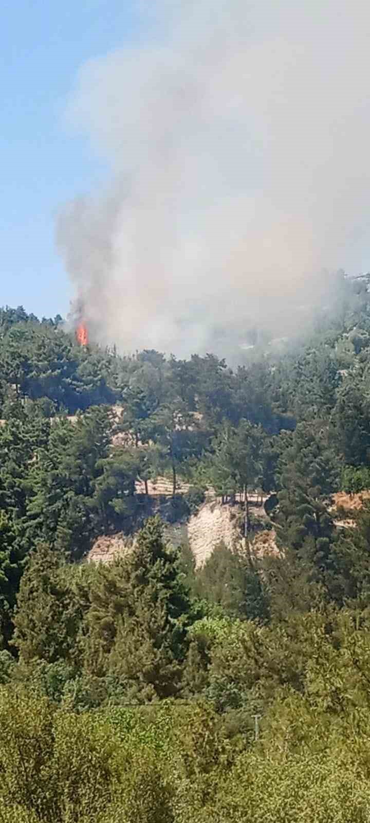 Denizli’de orman yangınına müdahale ediliyor
