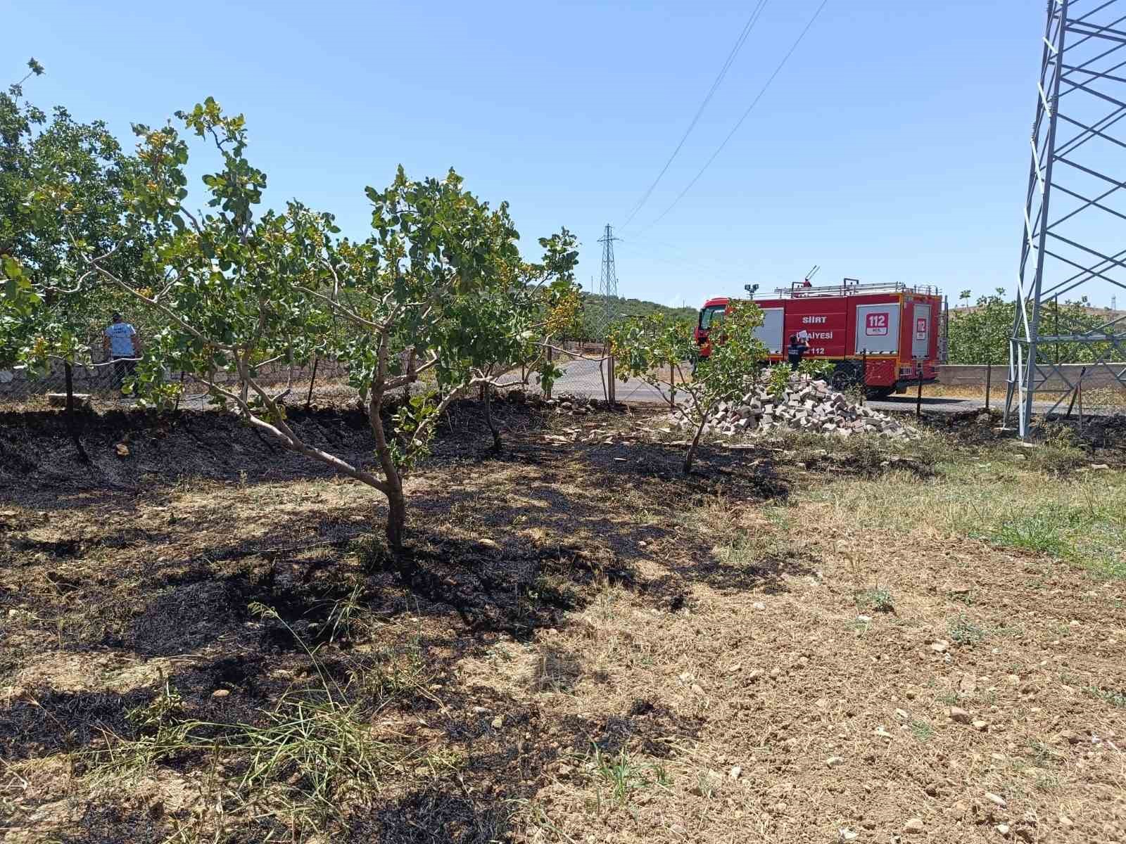 Siirt’te farklı noktalarda meydana gelen yangınlar büyümeden söndürüldü
