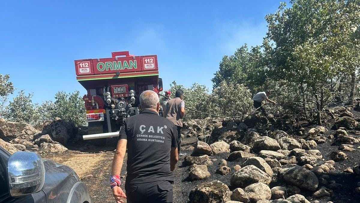 Diyarbakır’da orman yangını: Havadan ve karadan müdahale ile söndürüldü
