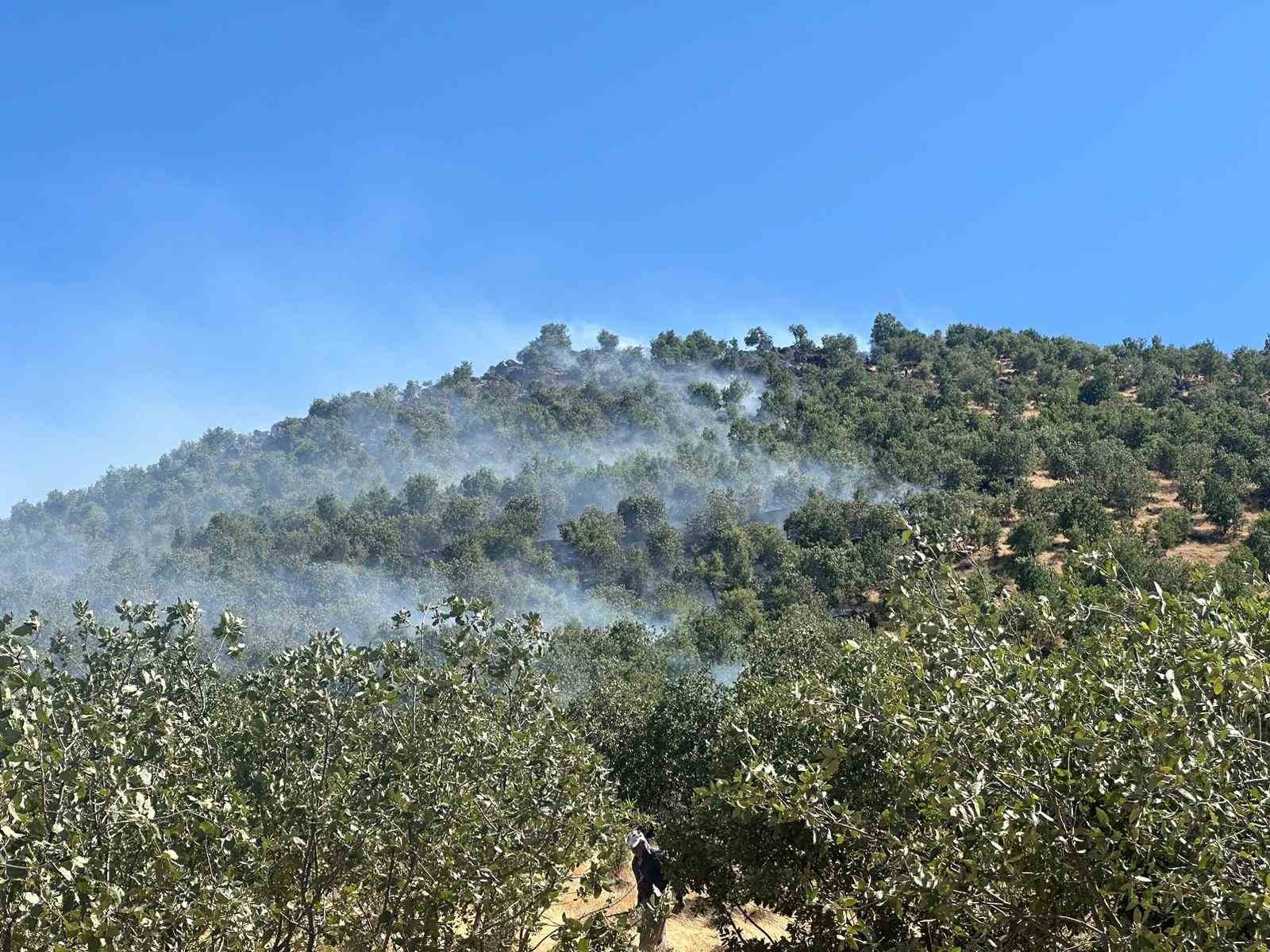 Diyarbakır’da orman yangını: Havadan ve karadan müdahale ile söndürüldü
