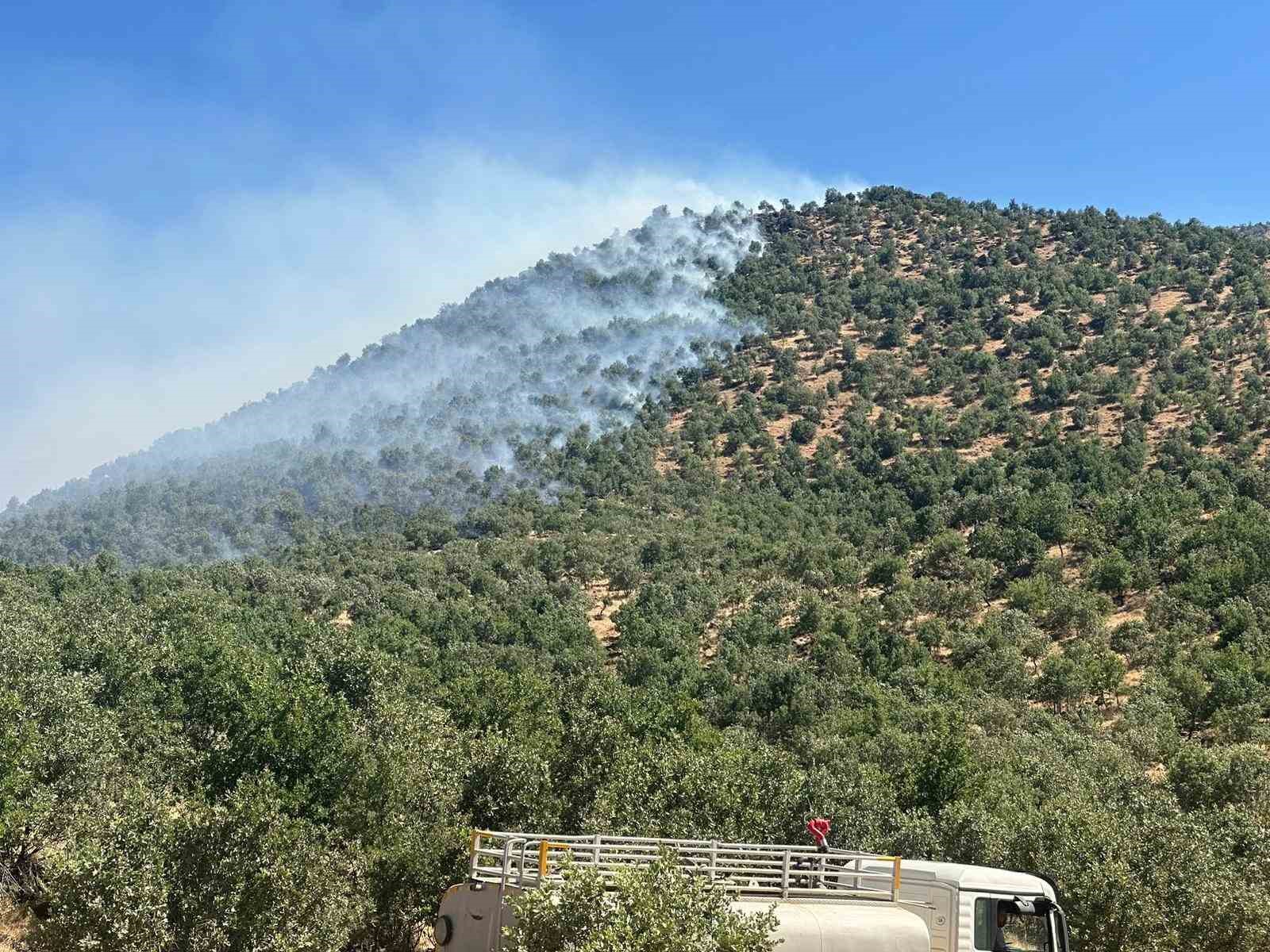 Diyarbakır’da orman yangını: Havadan ve karadan müdahale ile söndürüldü
