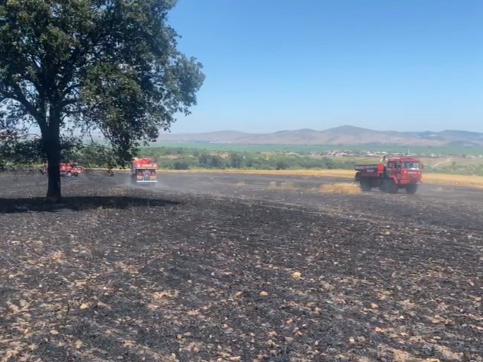 Balıkesir’de tarla yangını: 35 ton buğday kül oldu
