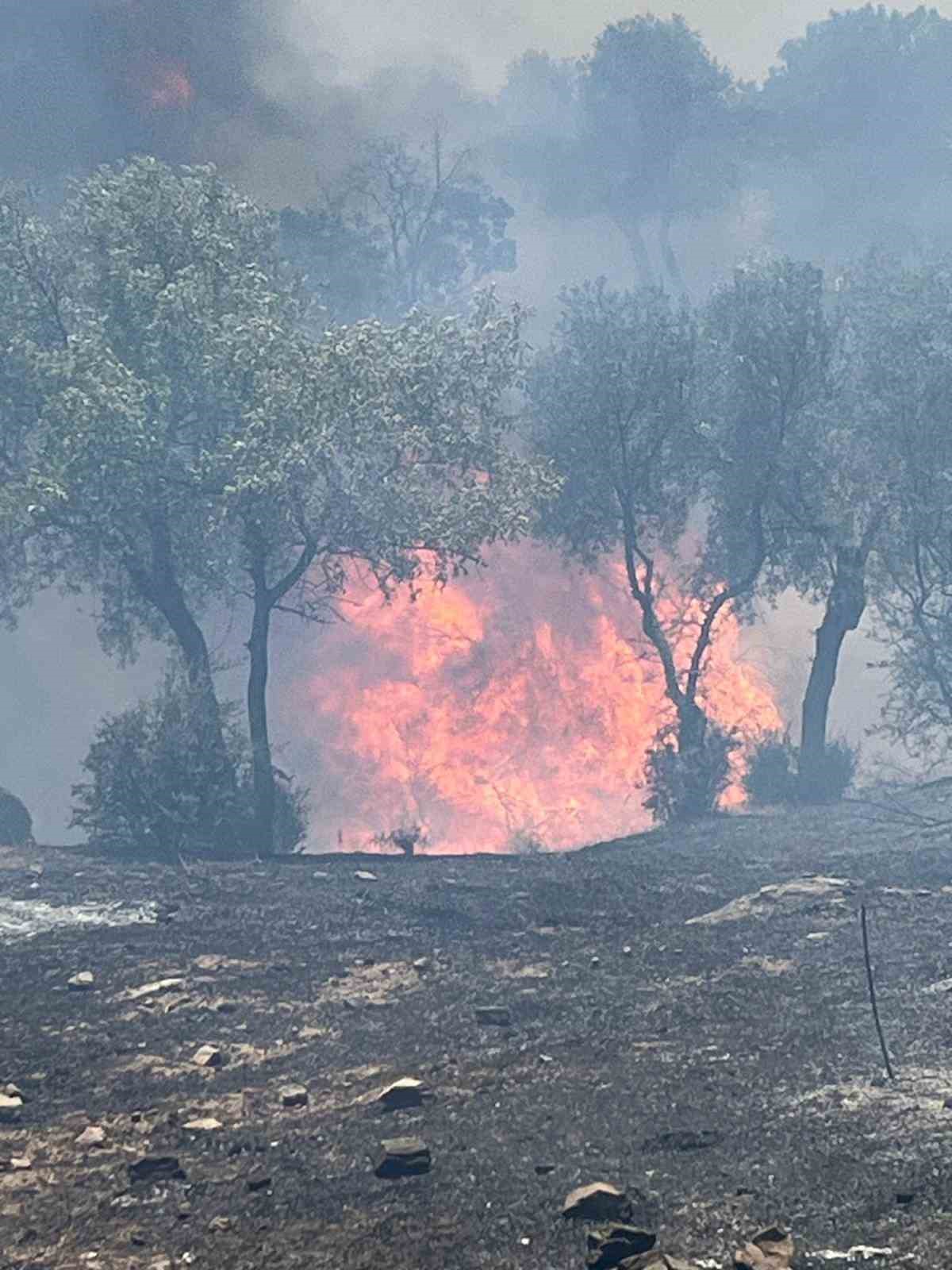 Aydın İtfaiyesi 48 saatte 81 yangına müdahale etti
