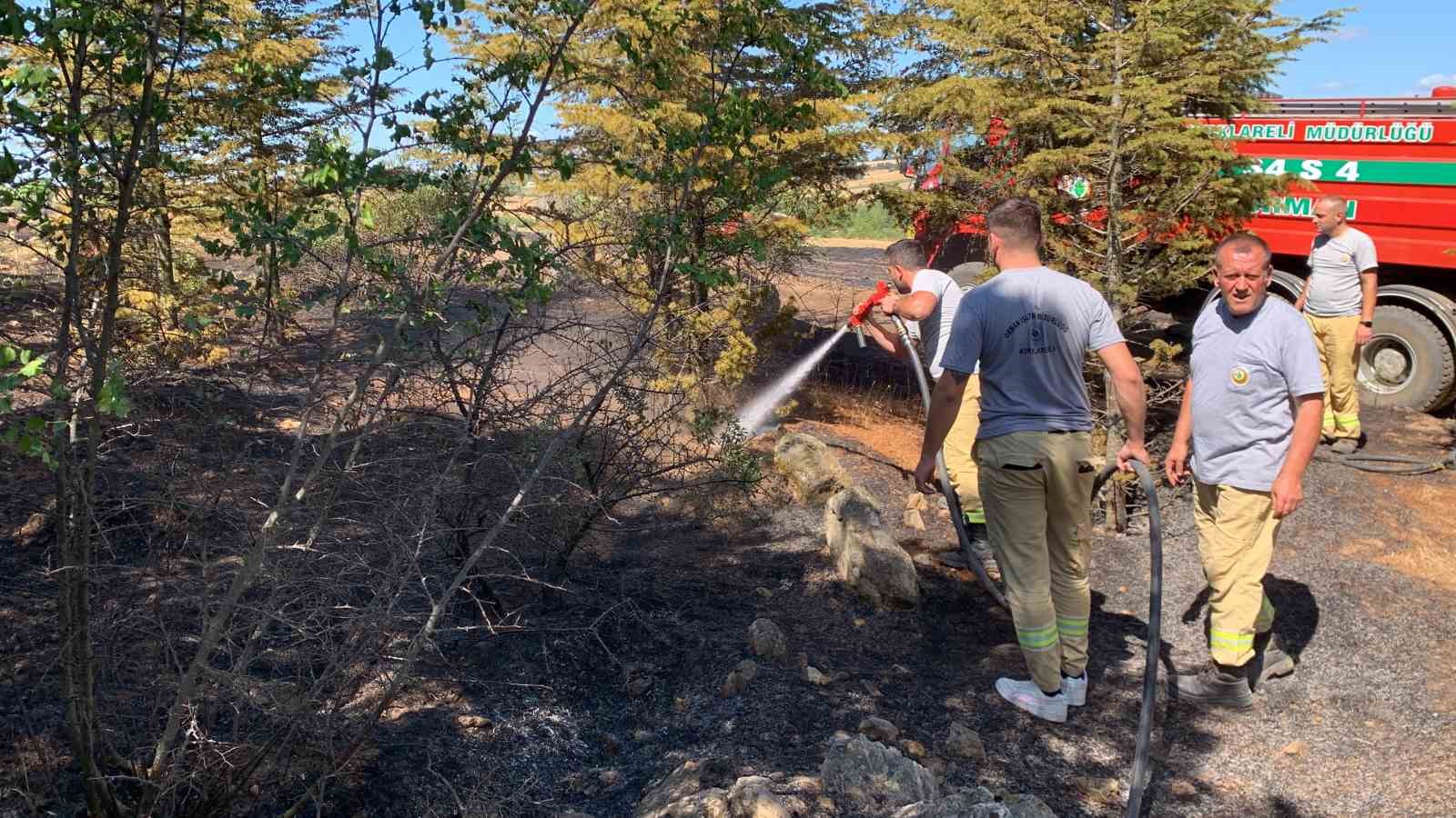 Kırklareli’nde orman yangını: 10 dekar alan ile 5 dekar buğday tarlası zarar gördü
