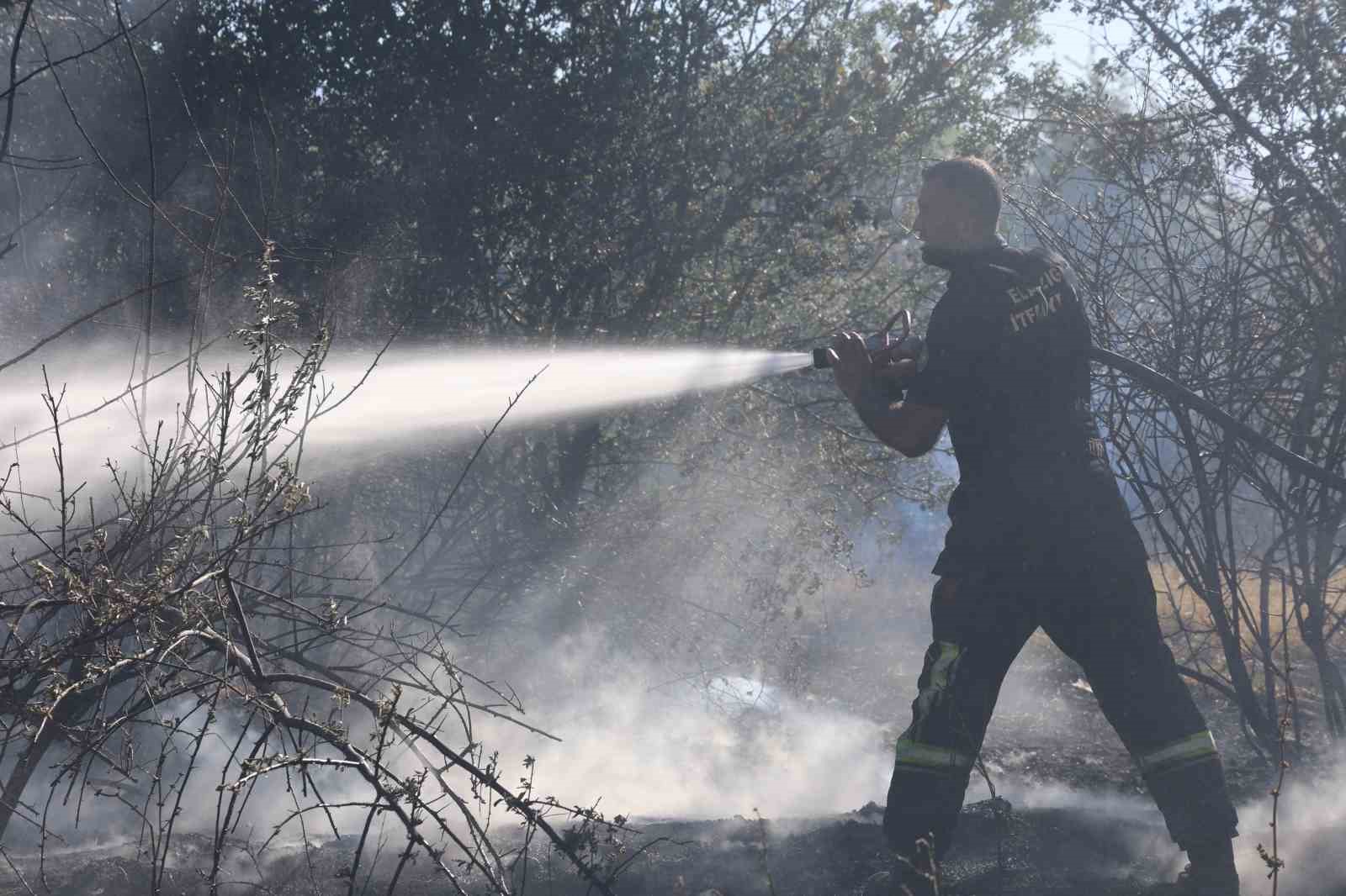 Elazığ’da örtü ve bahçe yangını
