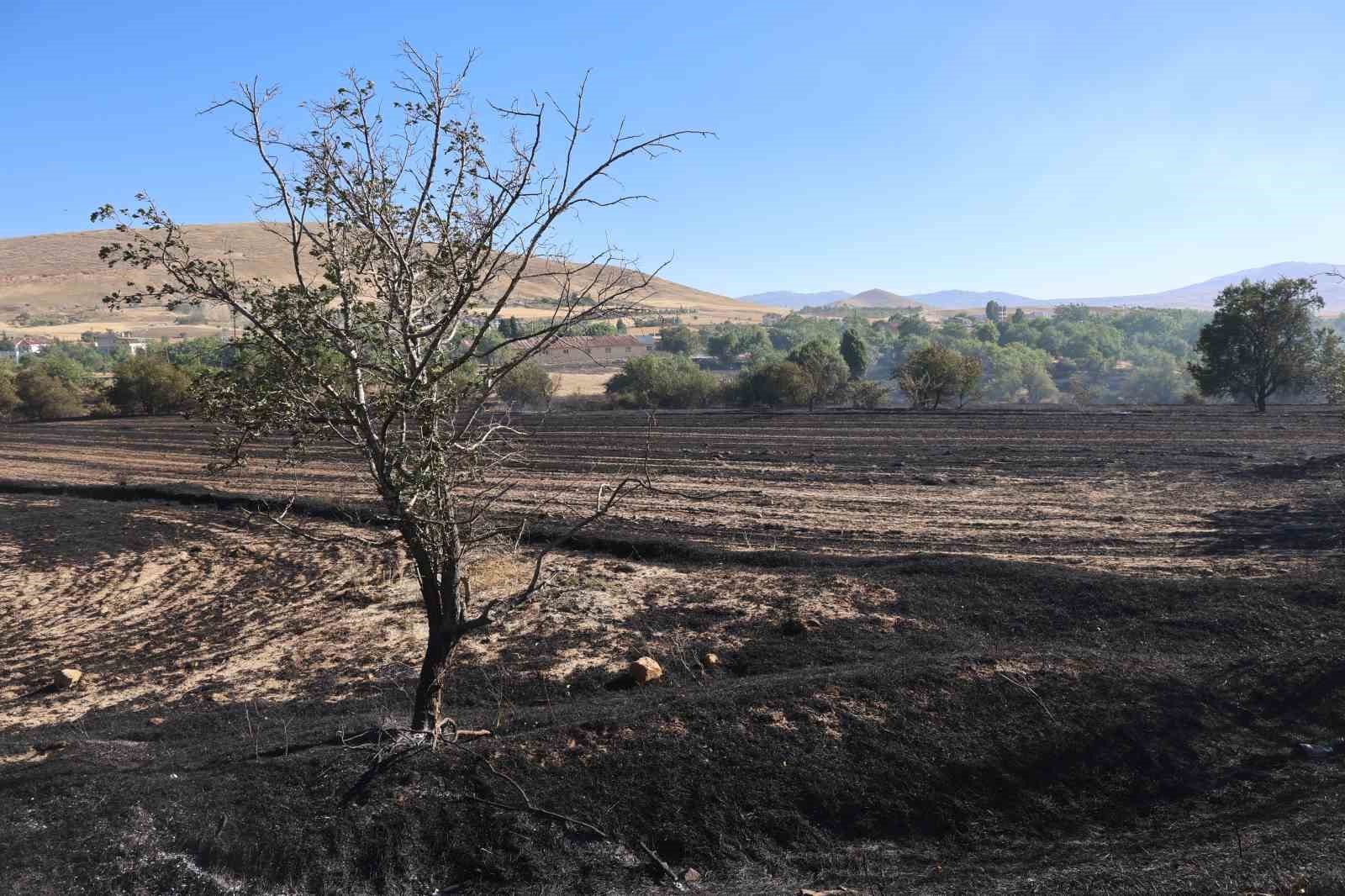 Elazığ’da örtü ve bahçe yangını
