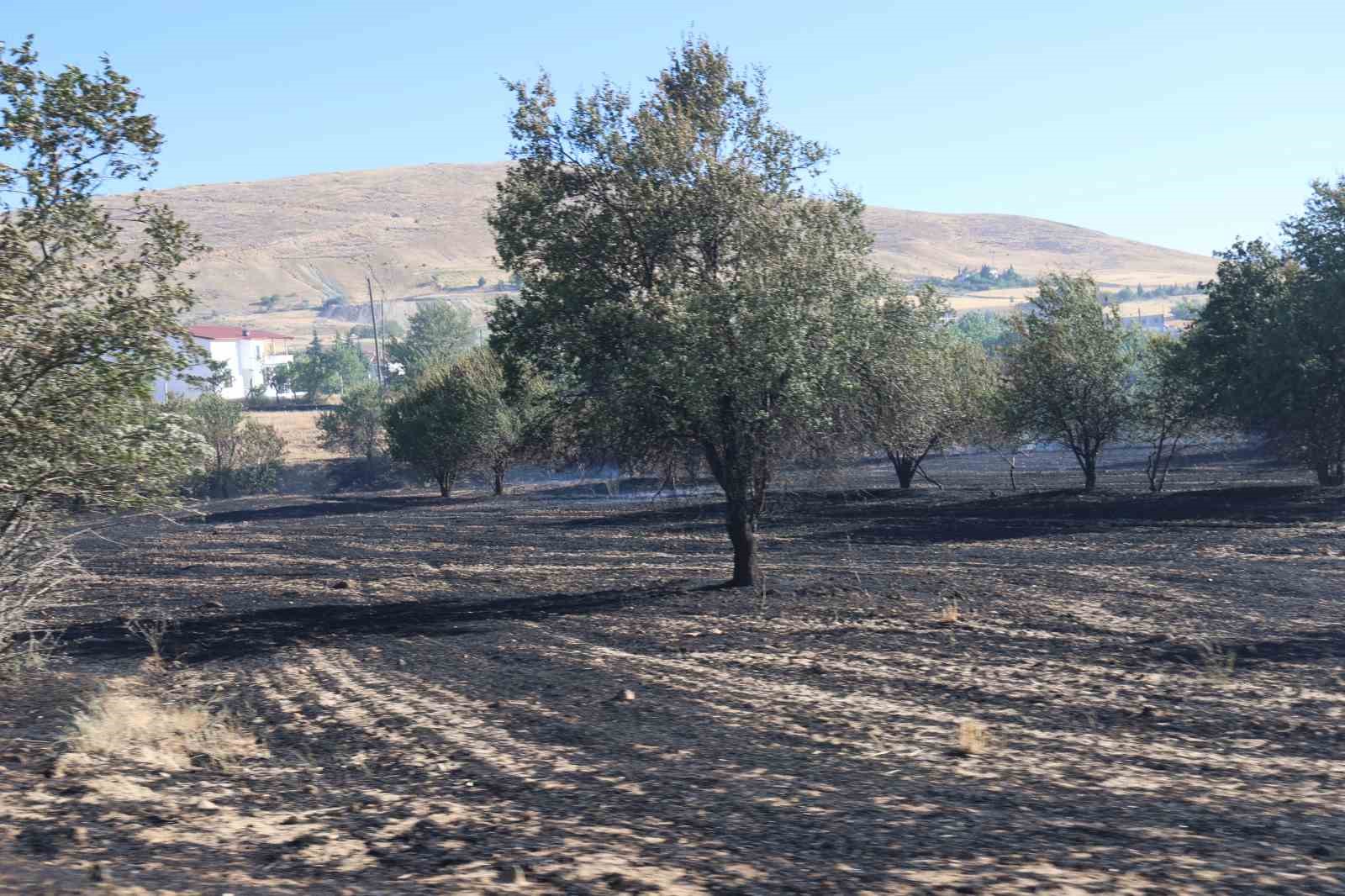 Elazığ’da örtü ve bahçe yangını
