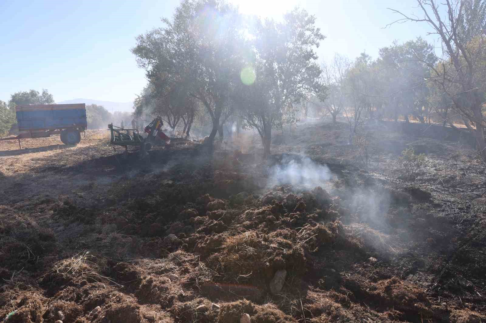 Elazığ’da örtü ve bahçe yangını
