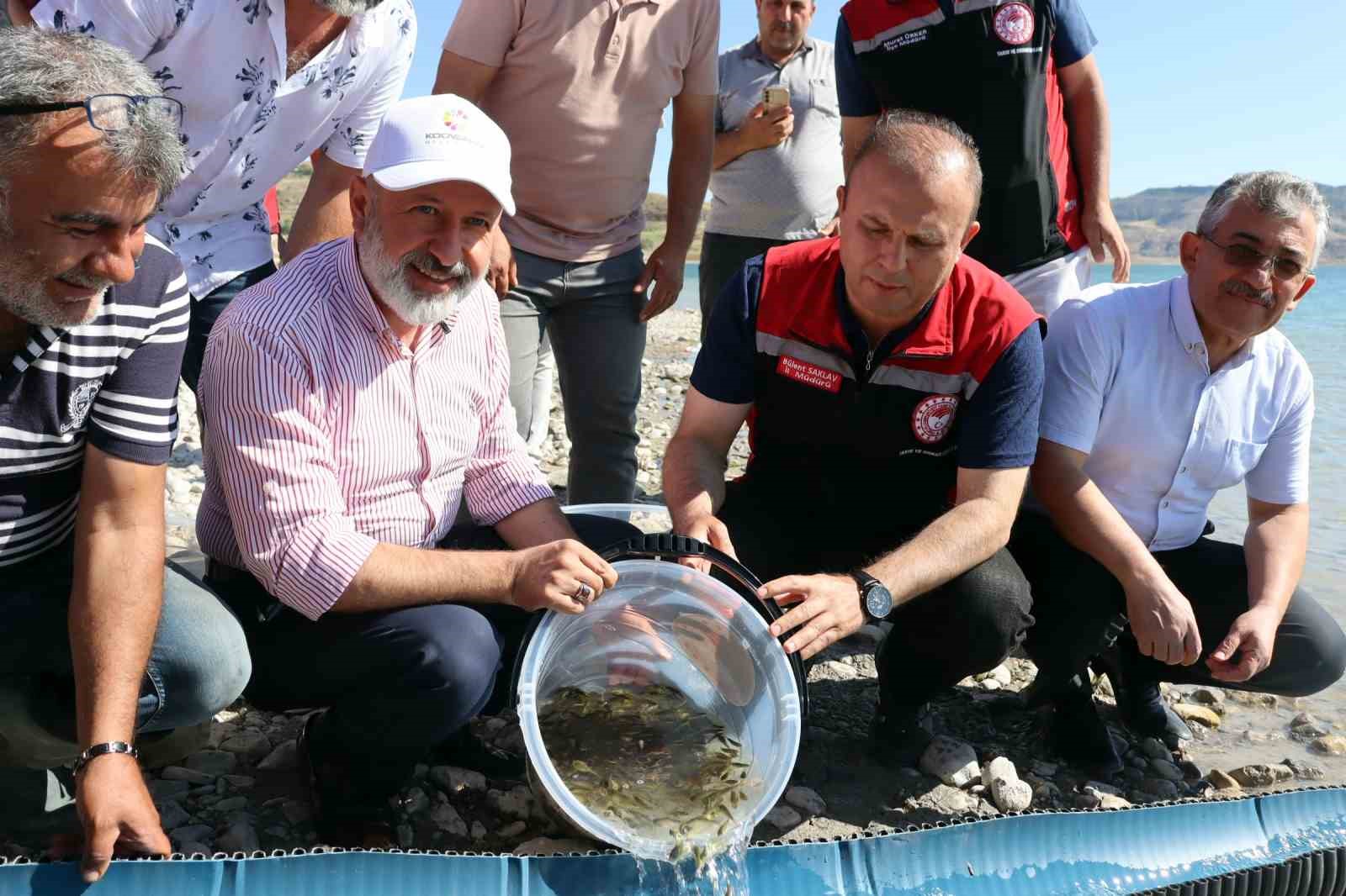 Kayseri’de sulara 1 buçuk milyon balık bırakıldı
