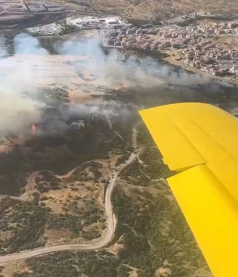 Manisa’da ormanlık alanda yangın
