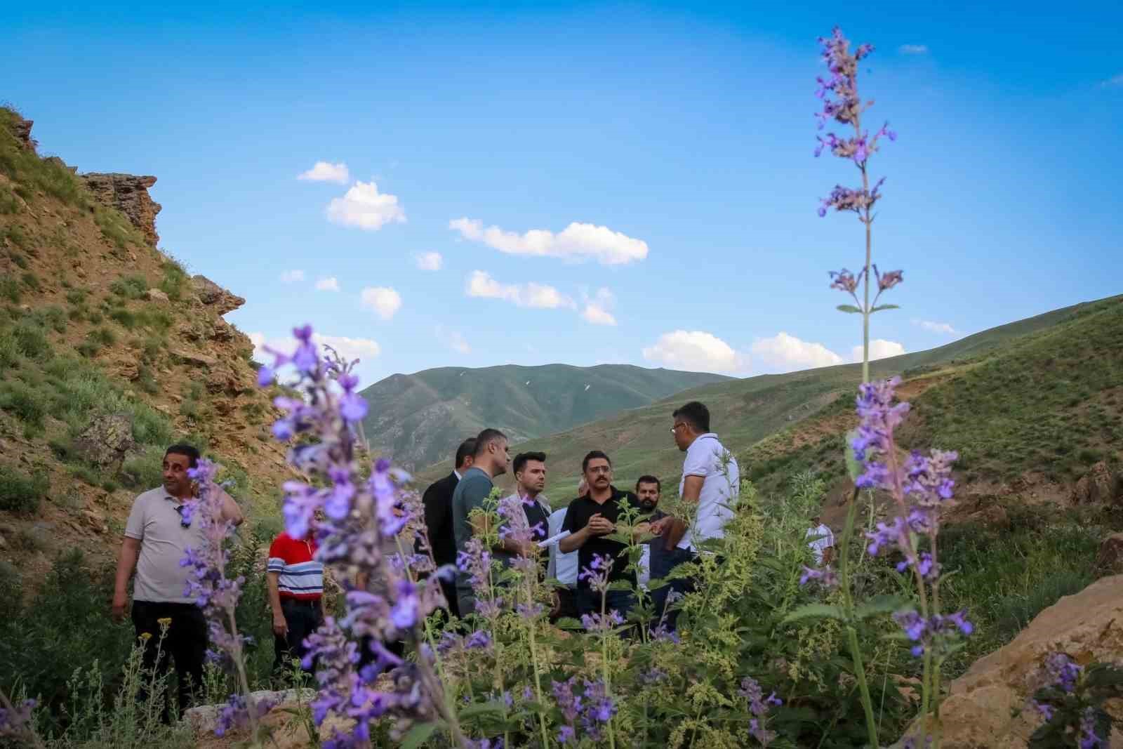 Vali Ali Çelik, Hakkari dağlarında su kaynağı aradı
