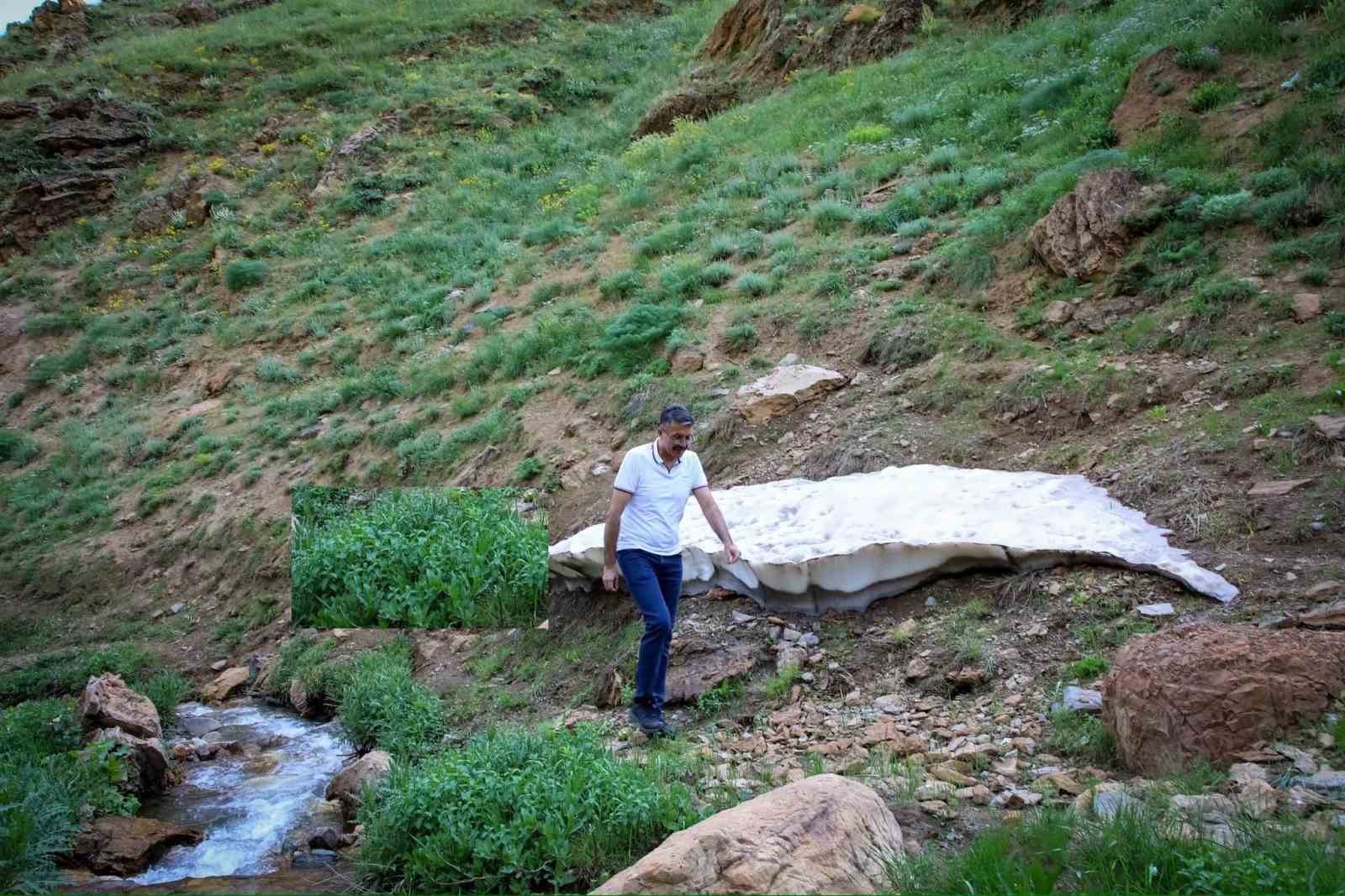 Vali Ali Çelik, Hakkari dağlarında su kaynağı aradı
