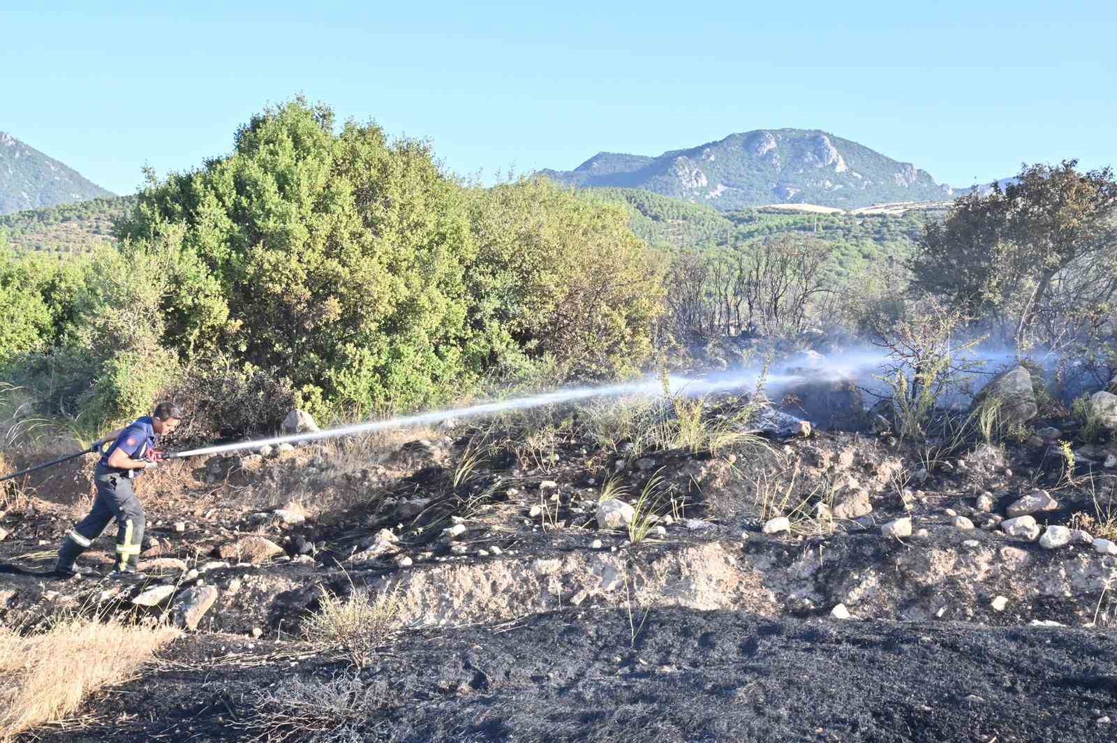 Manisa İtfaiyesinin yangınlarla mücadelesi devam ediyor
