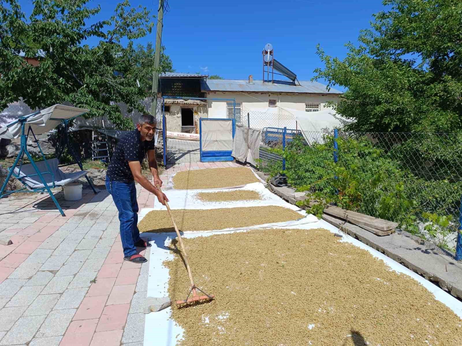 Coğrafi işaretli Ulukale dutu, Tunceli’nin köyünden çıkıp dünyaya ihraç ediliyor
