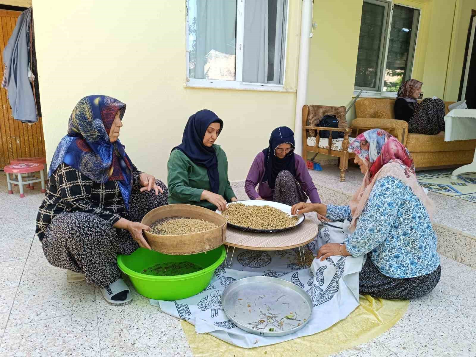 Coğrafi işaretli Ulukale dutu, Tunceli’nin köyünden çıkıp dünyaya ihraç ediliyor
