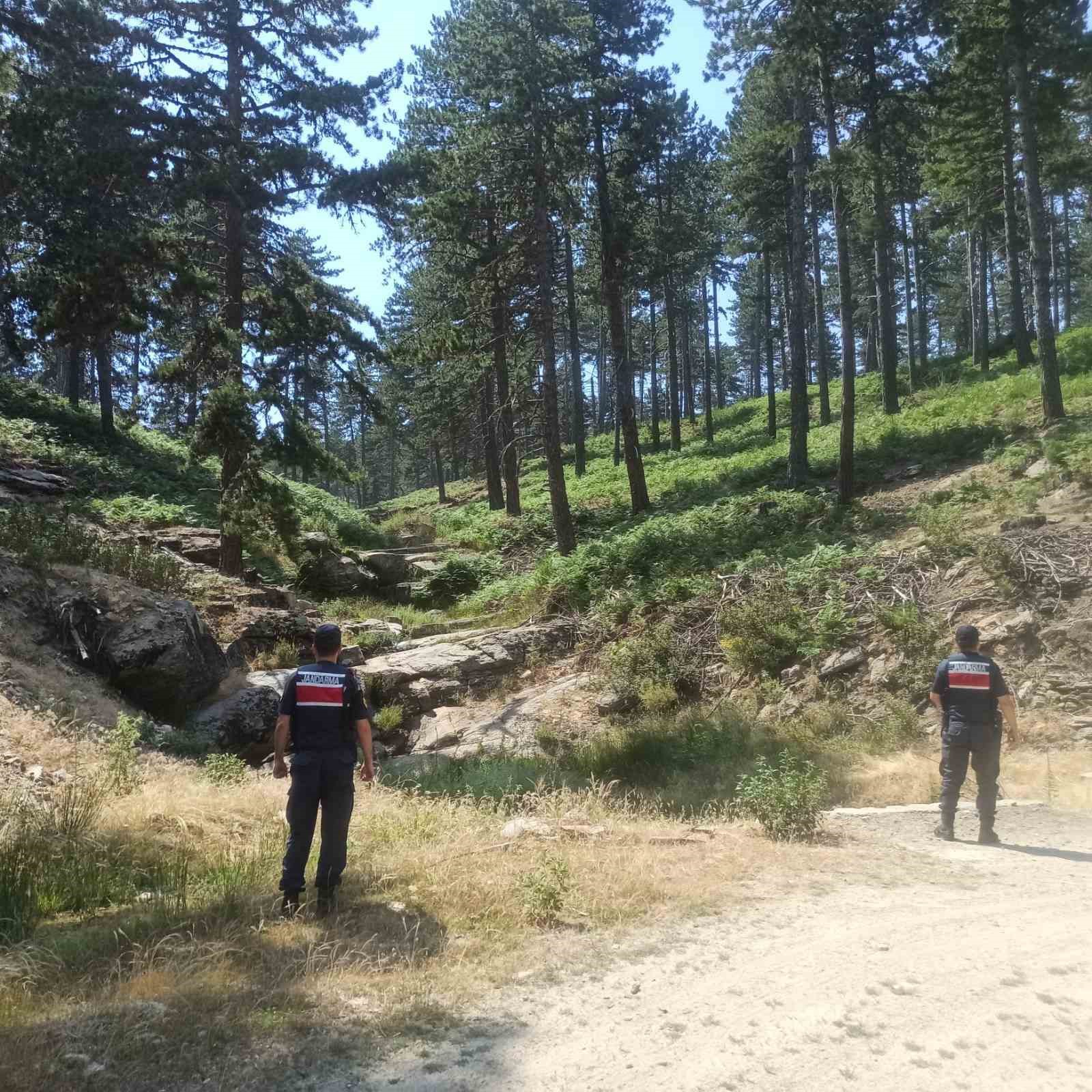 Ormanlık alanda mangal yakanlar cezadan kaçamadı
