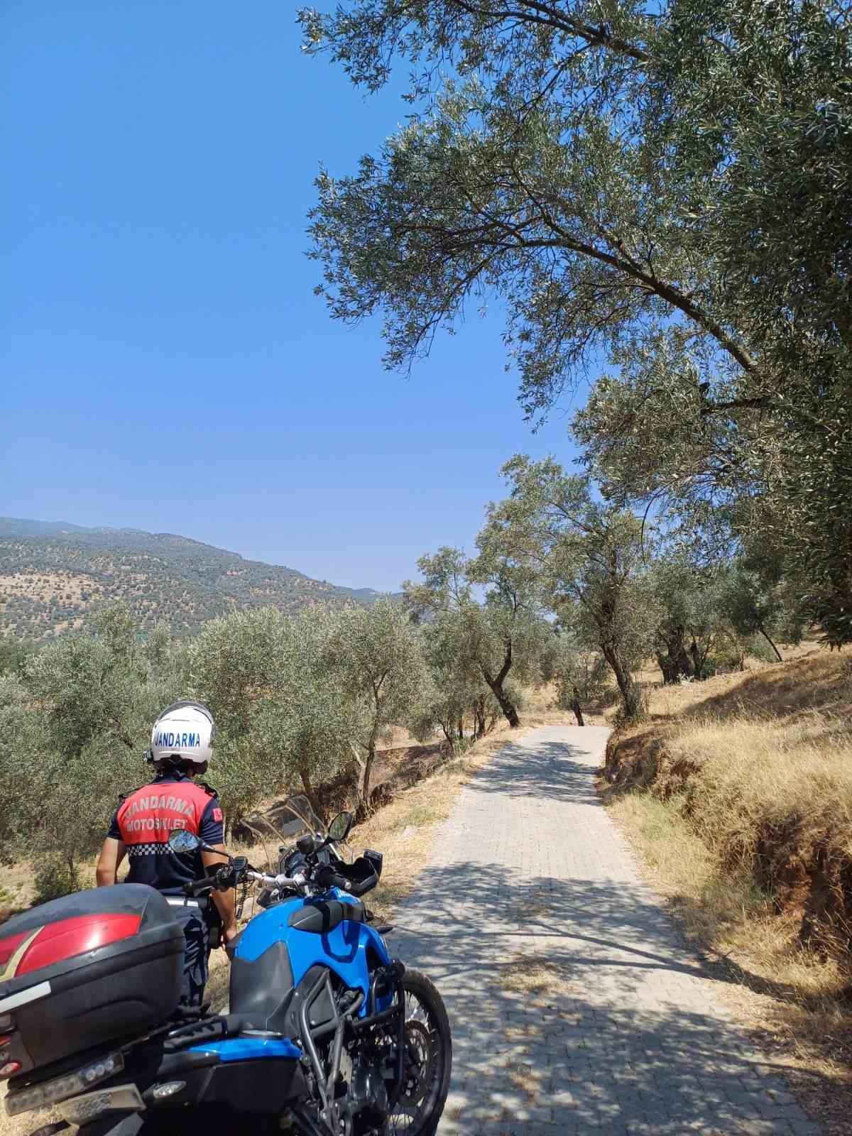 Ormanlık alanda mangal yakanlar cezadan kaçamadı
