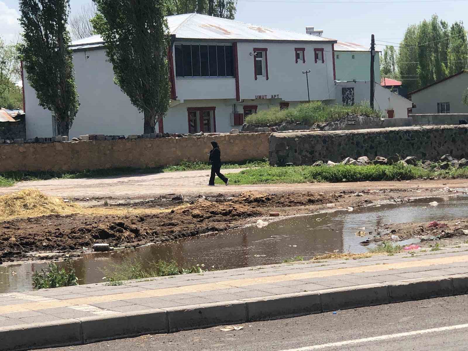 Kars’ta yol kenarına dökülen gübreler insan sağlığını olumsuz etkiliyor
