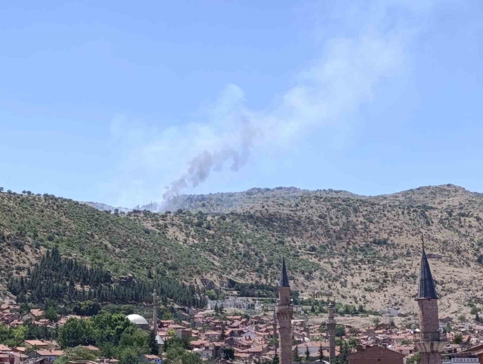 Afyonkarahisar’da ormanlık alanda çıkan yangın söndürüldü
